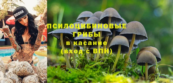синтетический гашиш Володарск