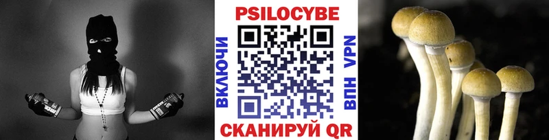 Псилоцибиновые грибы GOLDEN TEACHER  Зуевка 